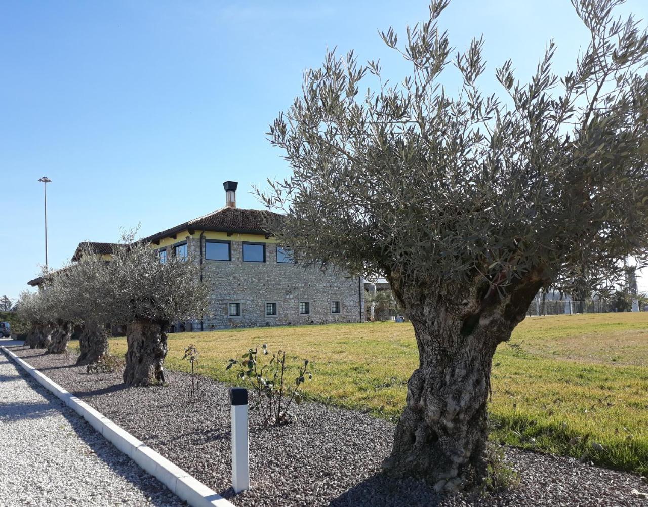 Agriturismo San Gallo Strassoldo Εξωτερικό φωτογραφία